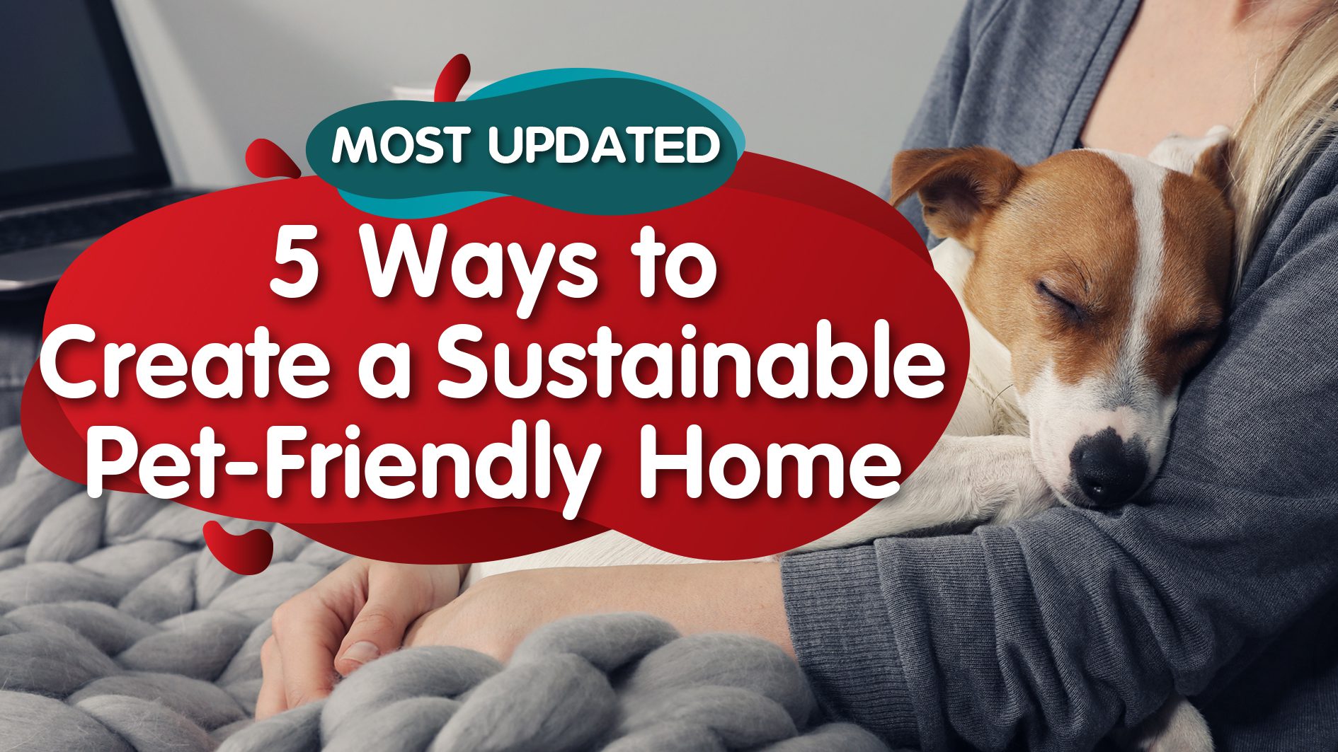 5 Ways to Create a Sustainable Pet Friendly Home