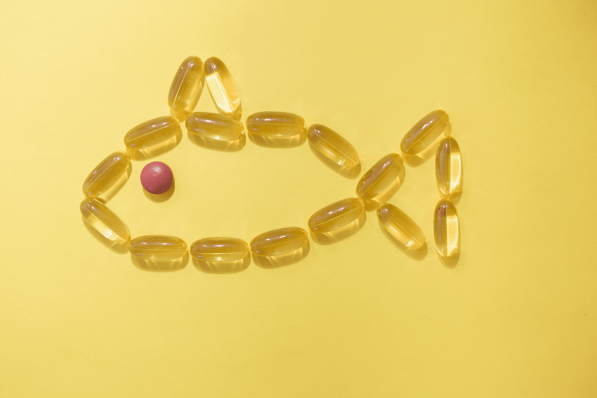 Senior Dog Nutrition and Supplements