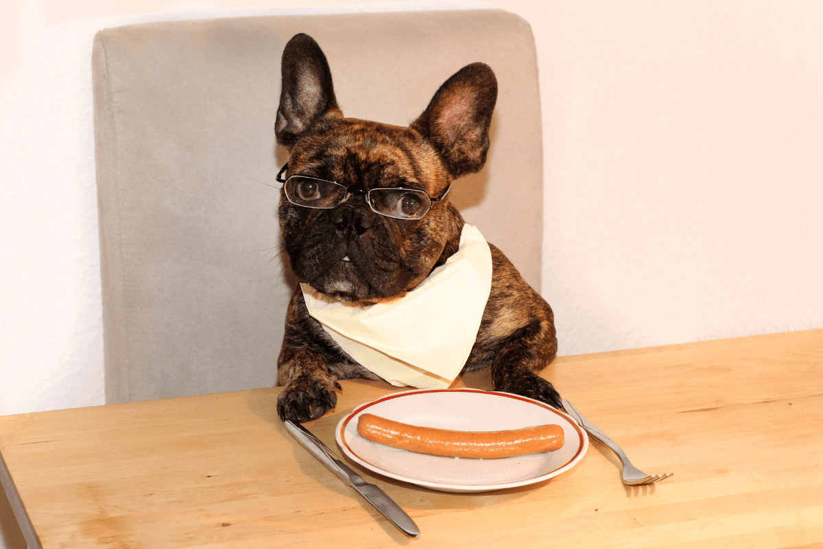 Foods Good for Dogs Joints