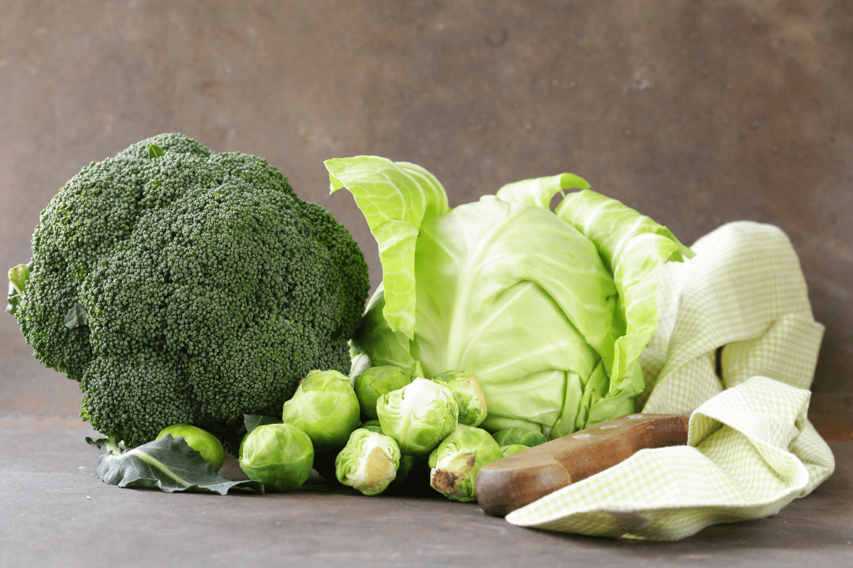 Foods Good for Dogs Joints