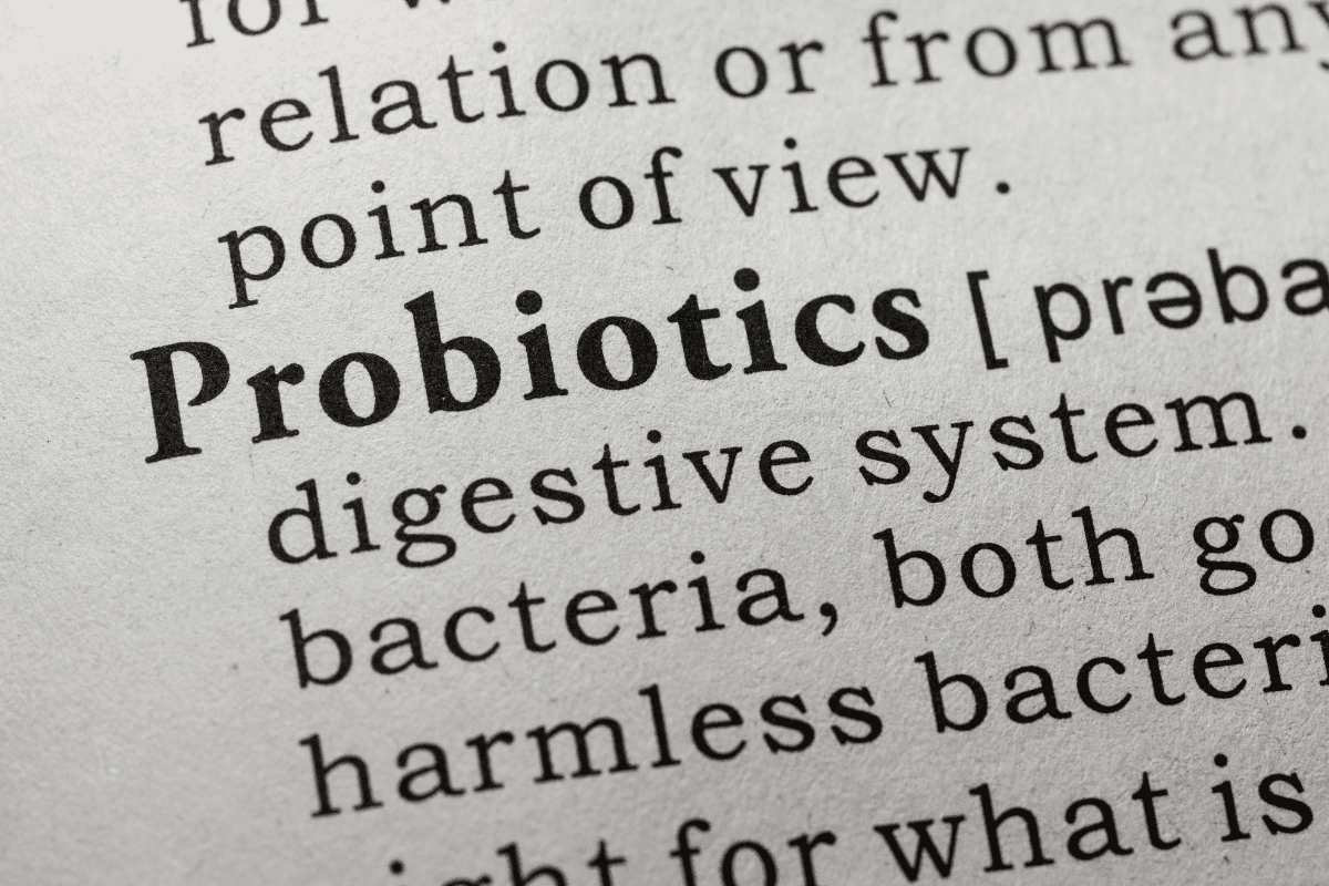 Supplements for Dogs