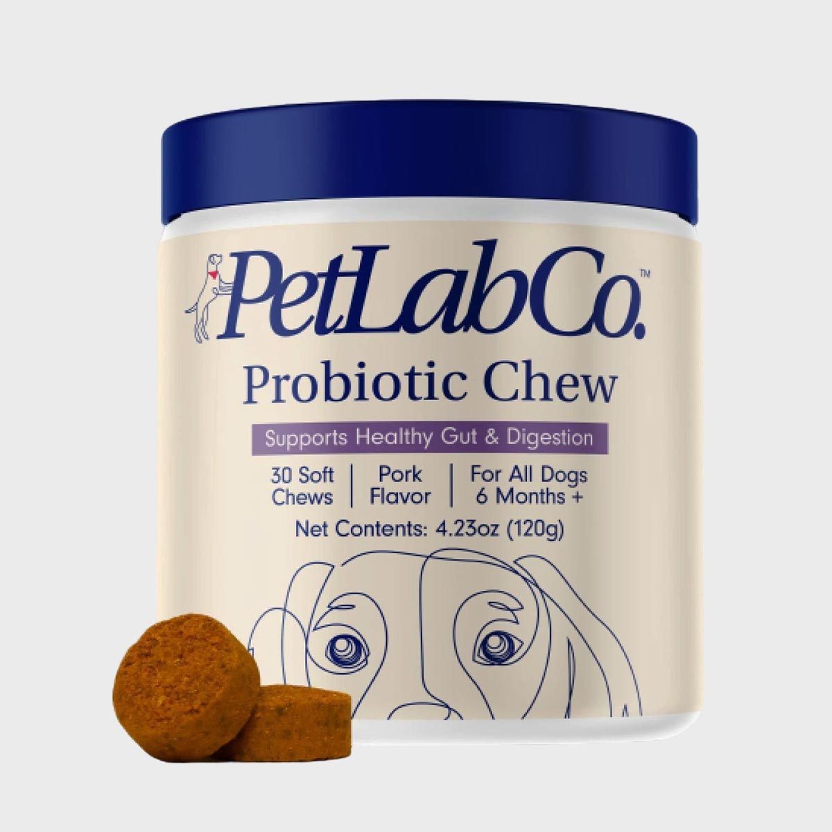 Top 8 Best Probiotic Food for Dogs